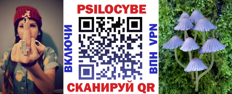 дарнет шоп  OMG ссылка  Псилоцибиновые грибы мицелий  Багратионовск 