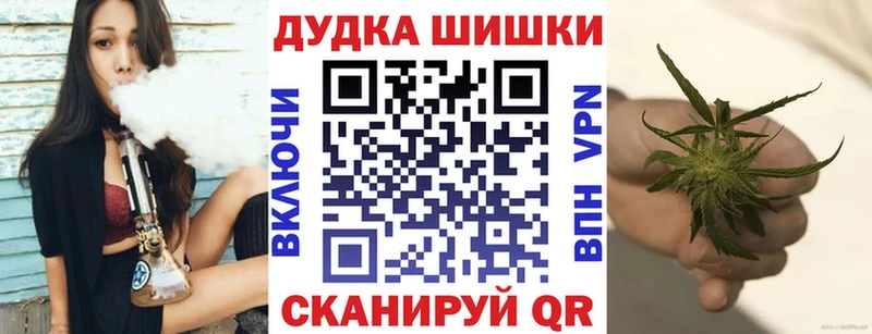 Бошки Шишки конопля  где найти   МЕГА ссылка  Багратионовск 